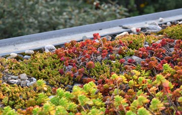 the cost of Polebrook green roof installation